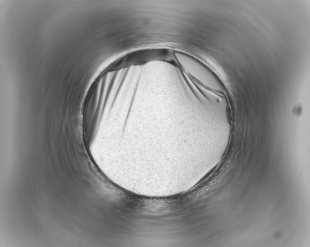 X0000093731332200711131028