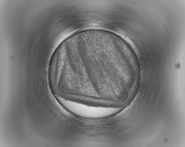 X0000093731333200711131028