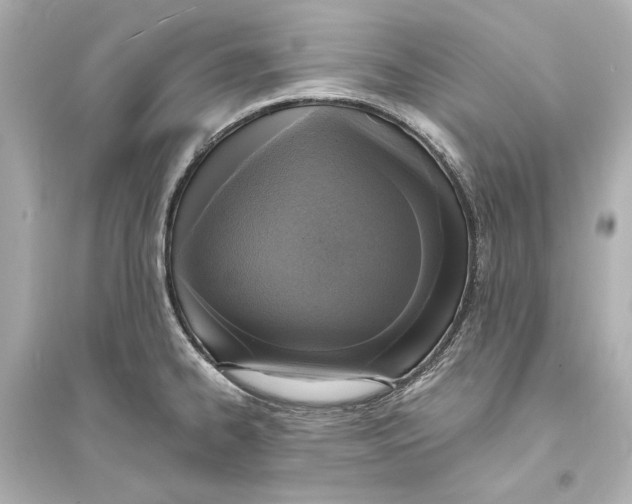 X0000093731334200711131028