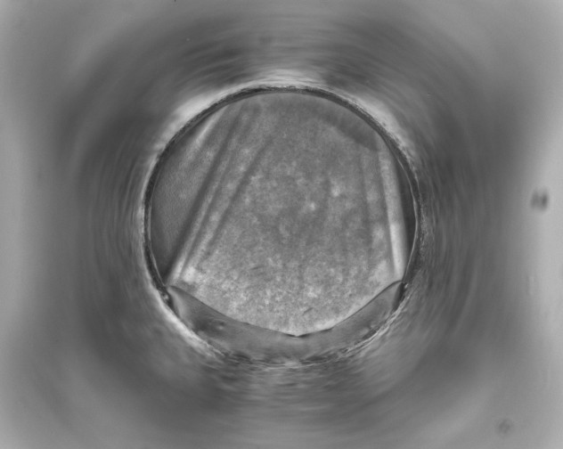 X0000093731335200711131028