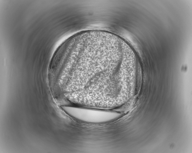 X0000093731336200711131028