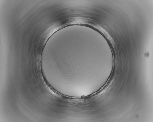 X0000093731337200711131028