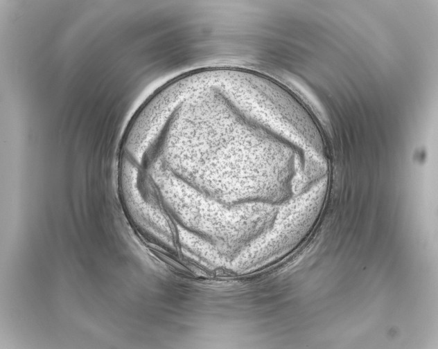 X0000093731340200711131029