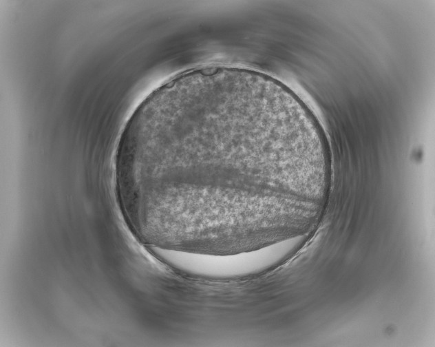 X0000093731341200711131029