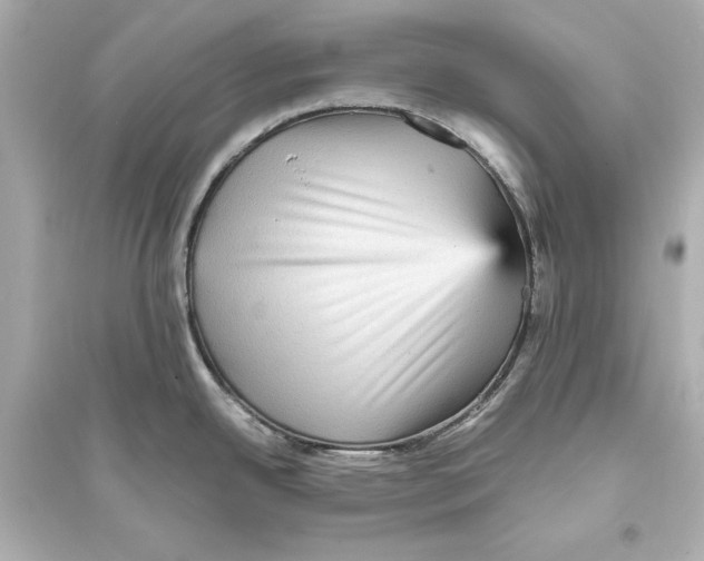 X0000093731342200711131029