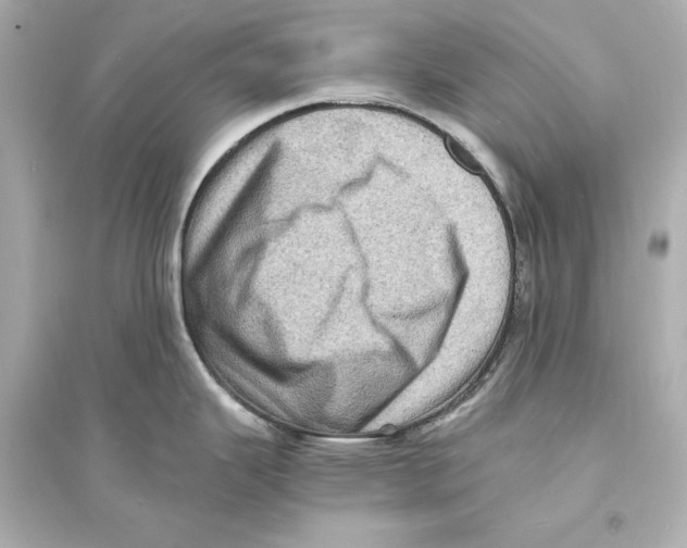 X0000093731343200711131029