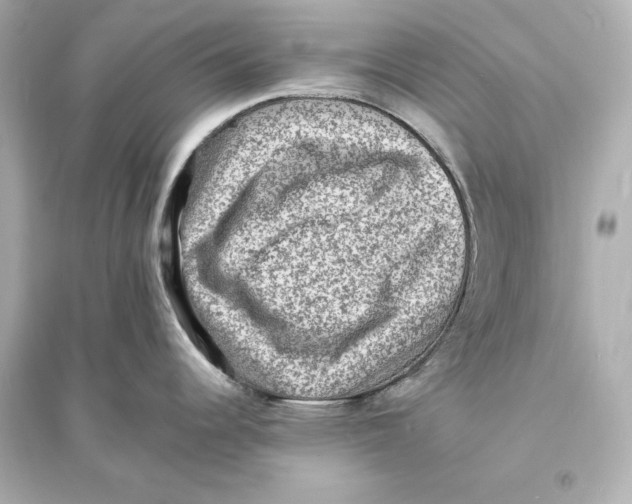 X0000093731344200711131029