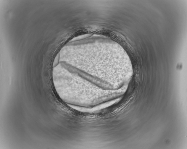 X0000093731345200711131028