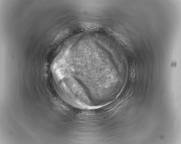 X0000093731346200711131028