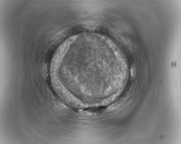 X0000093731347200711131028