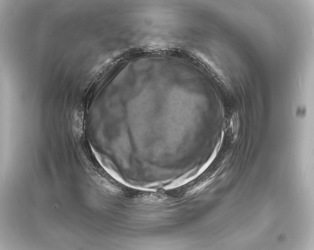 X0000093731348200711131028