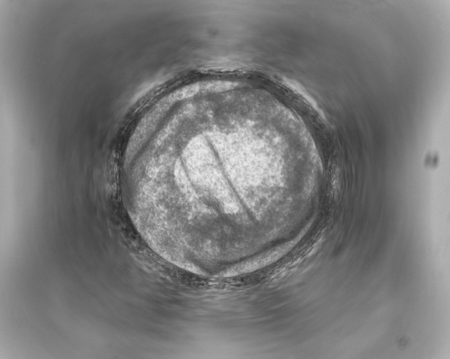 X0000093731350200711131028