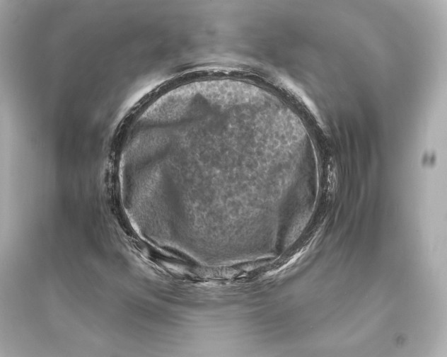 X0000093731352200711131028