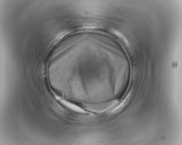 X0000093731353200711131028