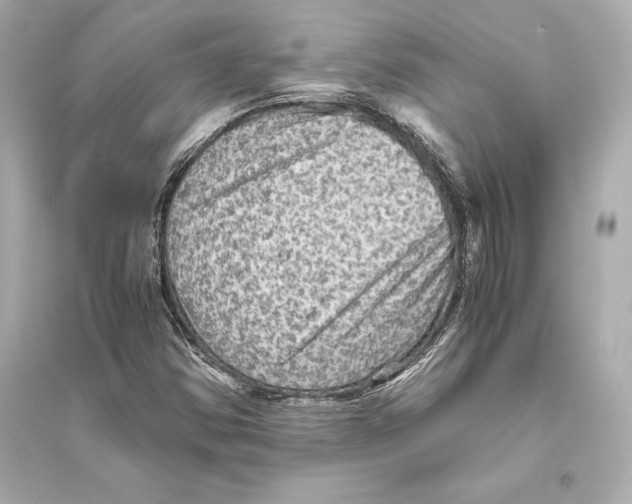 X0000093731354200711131028