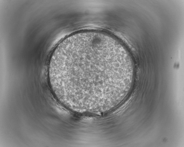 X0000093731355200711131028