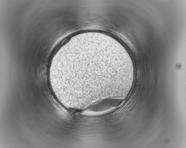 X0000093731356200711131028