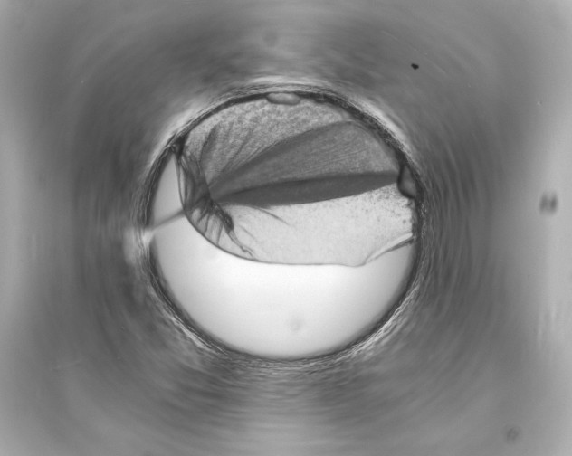 X0000093731357200711131028