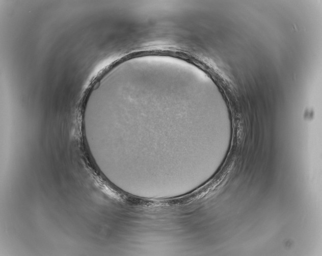 X0000093731358200711131028