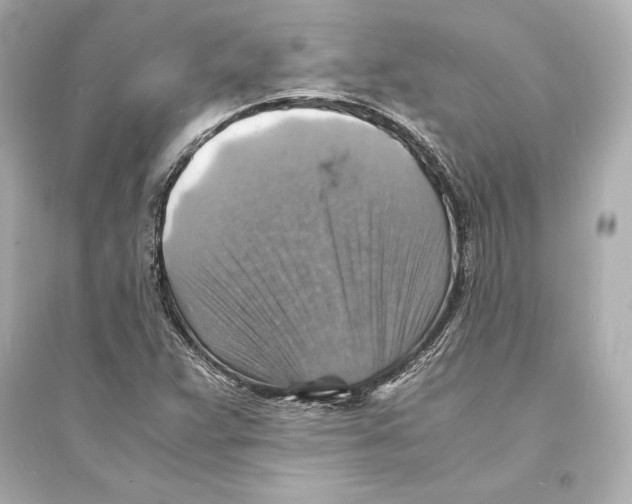 X0000093731359200711131028