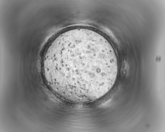 X0000093731360200711131028