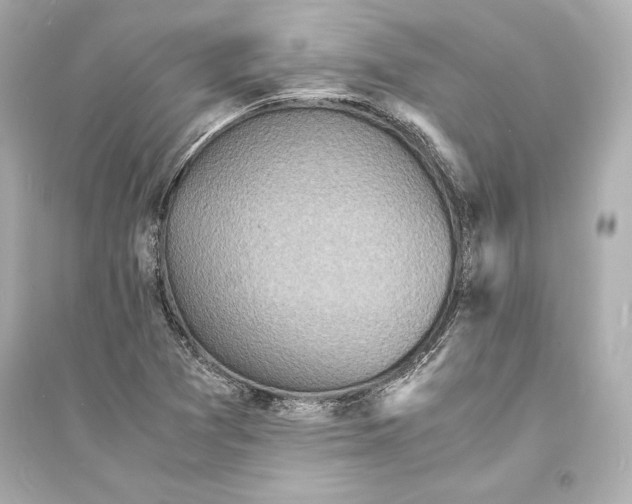 X0000093731361200711131028