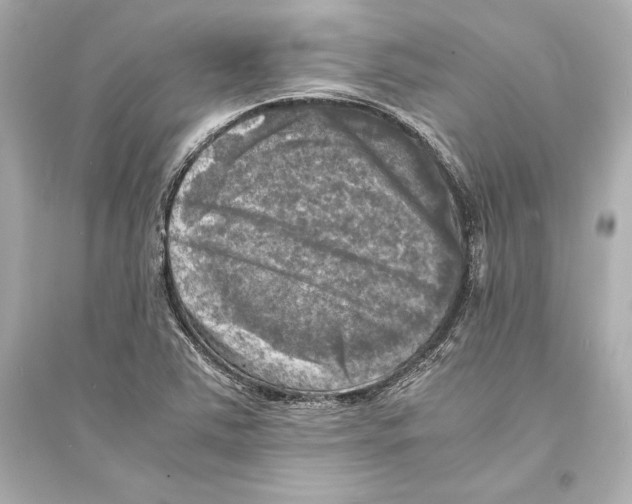 X0000093731363200711131027