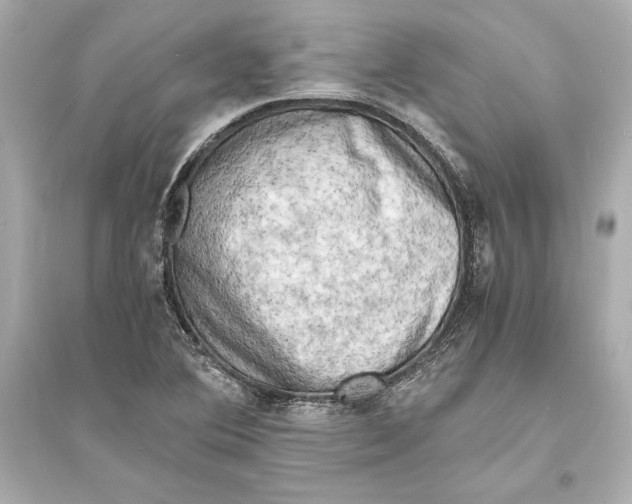 X0000093731364200711131027