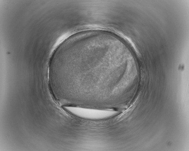 X0000093731365200711131027