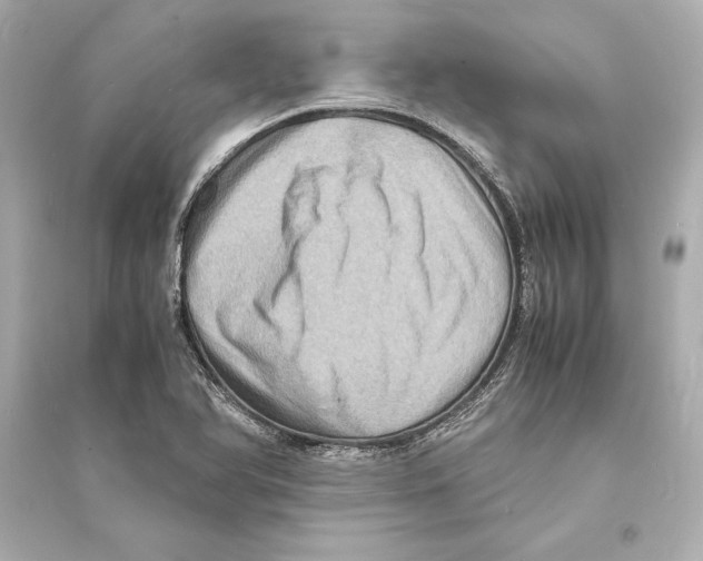 X0000093731366200711131027