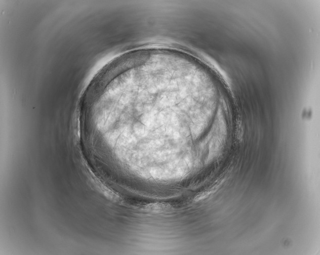 X0000093731368200711131027