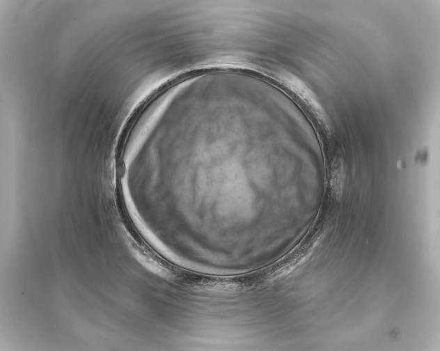 X0000093731372200711131027