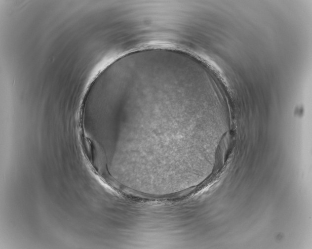 X0000093731373200711131027