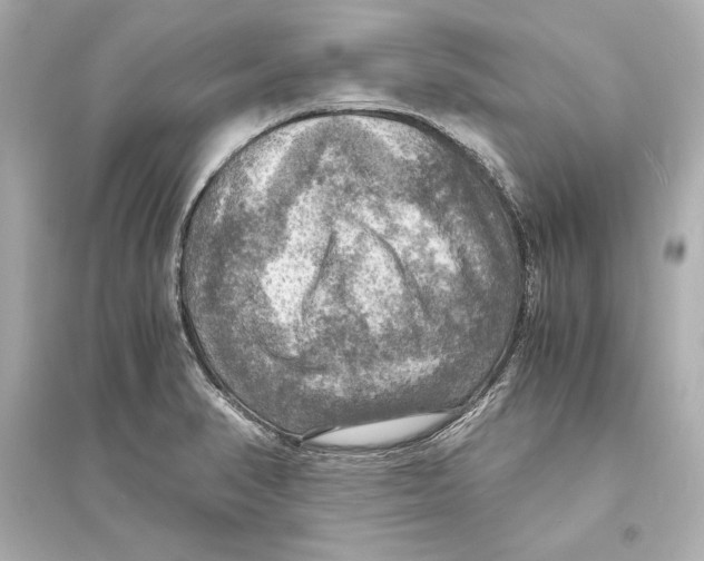 X0000093731374200711131027