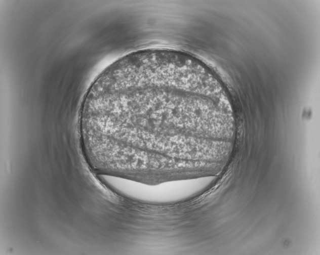 X0000093731375200711131027