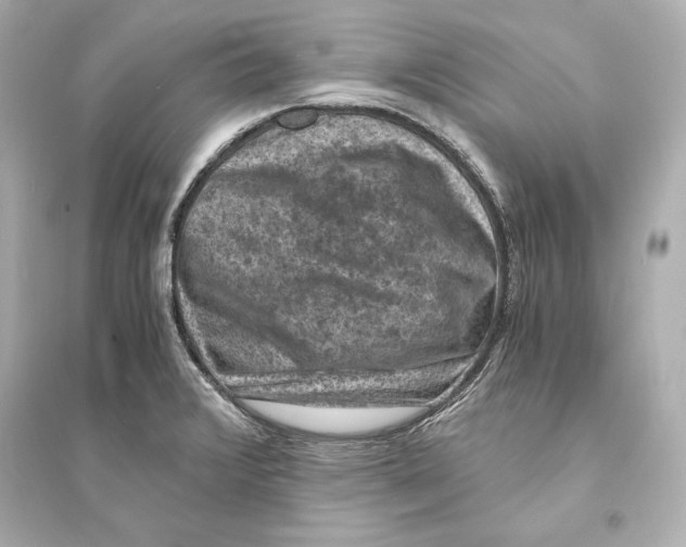 X0000093731376200711131027