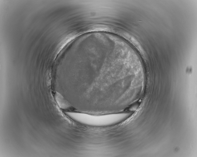 X0000093731377200711131027