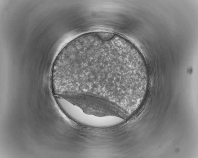 X0000093731379200711131027