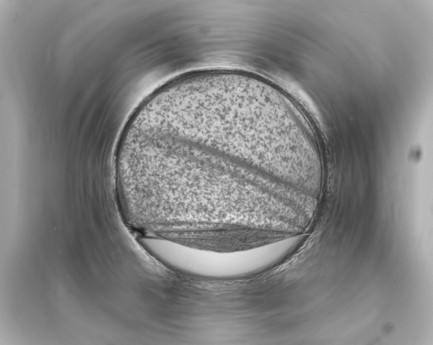 X0000093731380200711131027