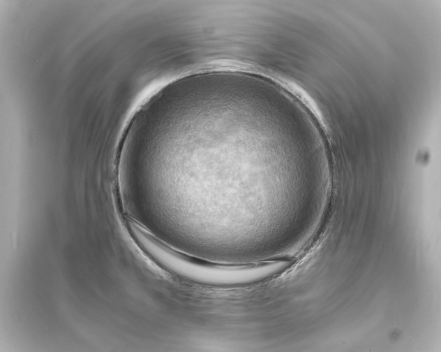 X0000093731381200711131027