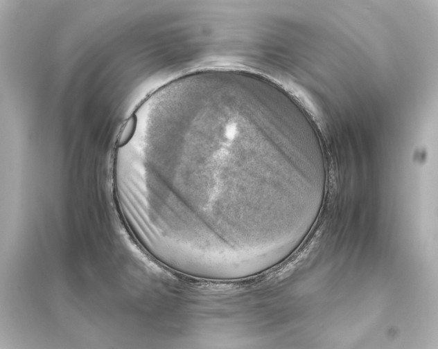 X0000093731382200711131027