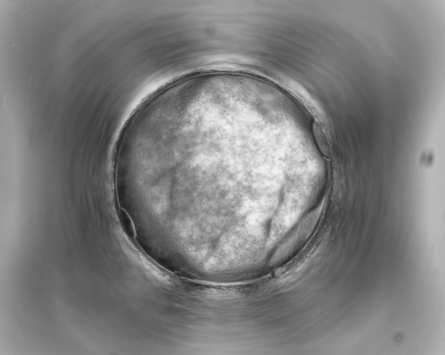 X0000093731384200711131027