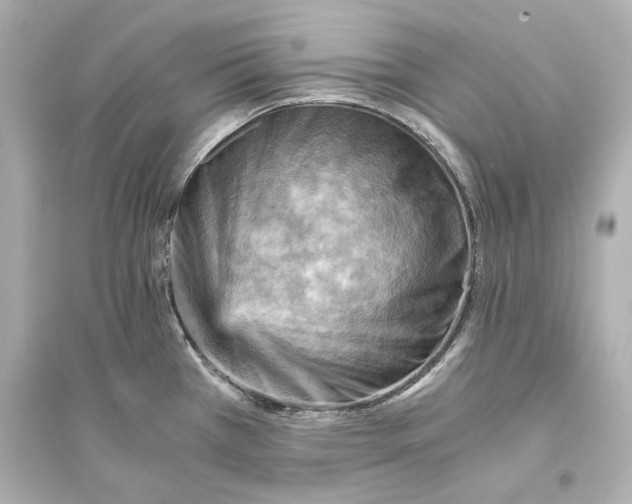 X0000093731385200711131027