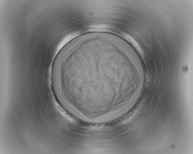 X0000093731386200711131027