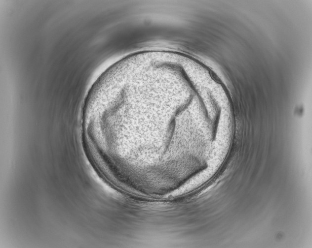 X0000093731387200711131027