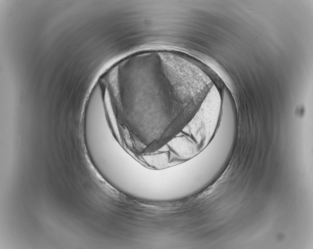 X0000093731388200711131027