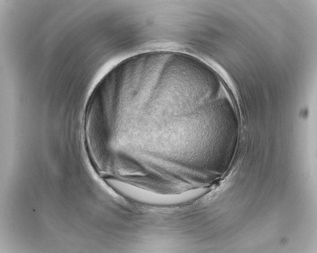 X0000093731389200711131027