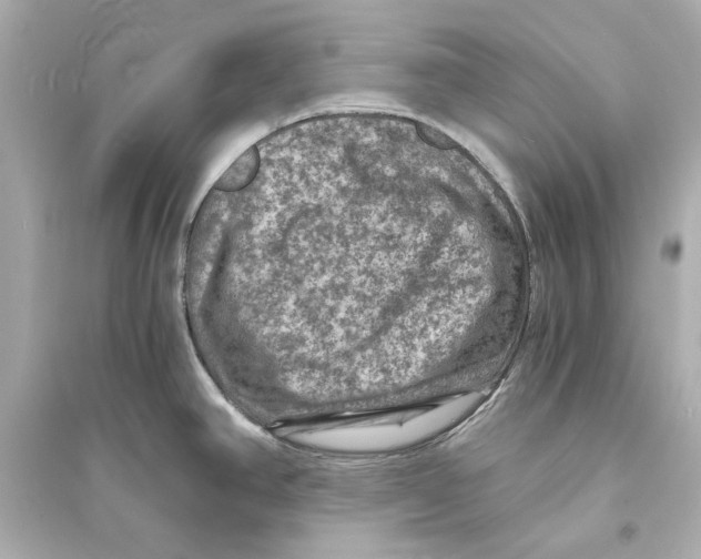 X0000093731390200711131027