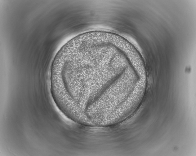 X0000093731391200711131027