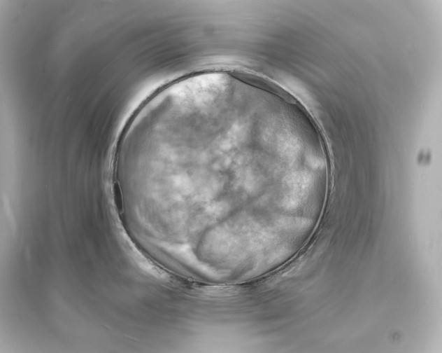 X0000093731392200711131027